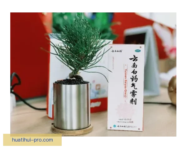 卡瓦哈尔分享伤病困扰与西蓝花疗愈经历助我恢复健康